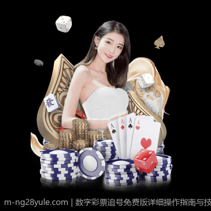 数字彩票追号免费版详细操作指南与技巧