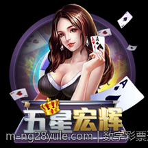 数字彩票追号计划软件免费版用户体验评估